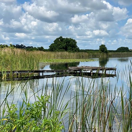 The Scandinavian Contemporary Blauw Lake Alfred Exteriér fotografie
