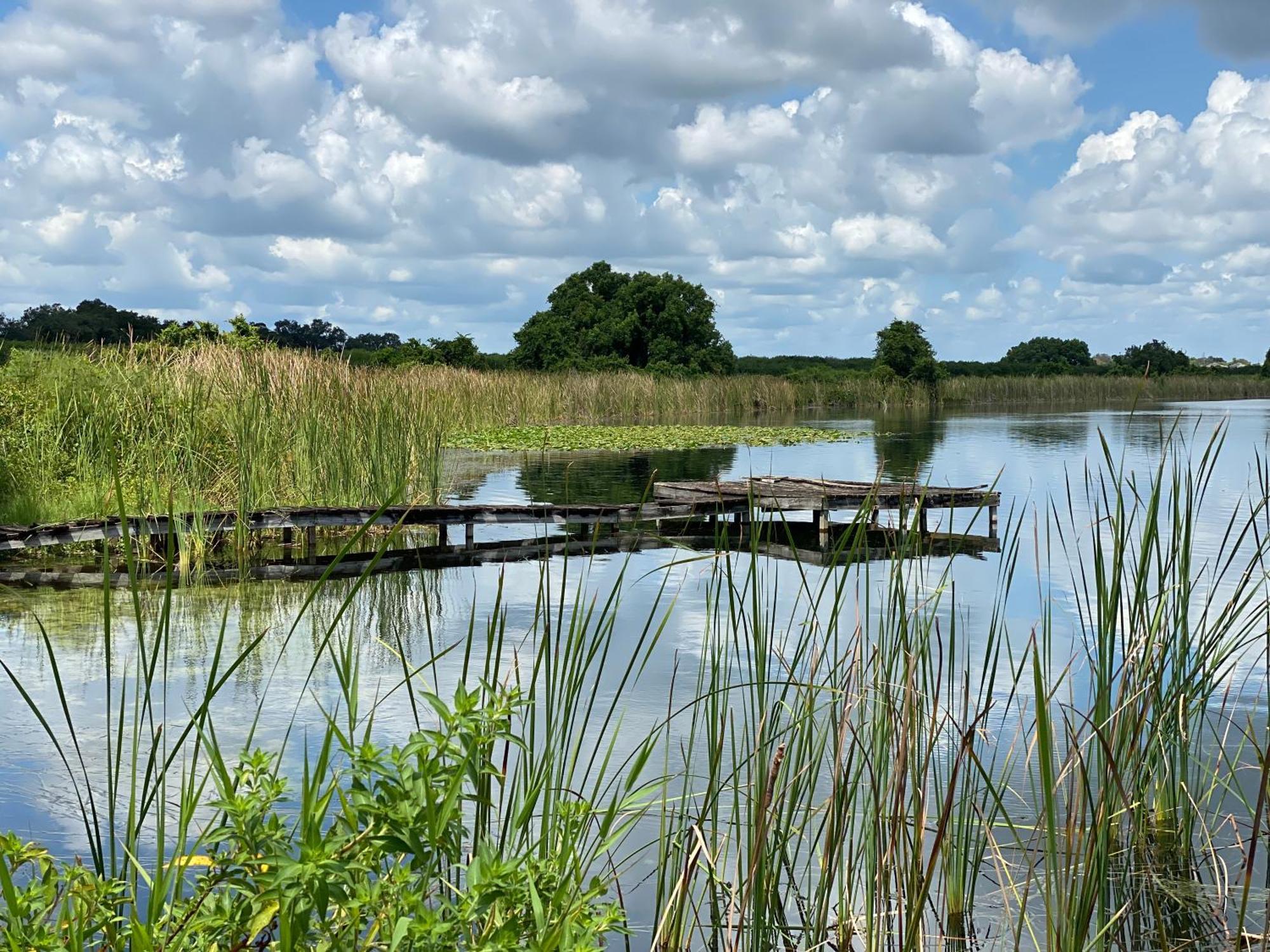 The Scandinavian Contemporary Blauw Lake Alfred Exteriér fotografie